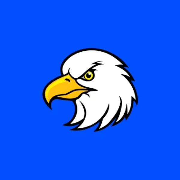 FlySMM